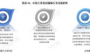 重大突破！中国科学家首次成功让两只雄鼠产下可育后代，为同性生殖提供可能性【附基因编辑行业市场分析】