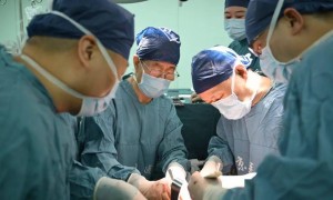 全球首例！基因编辑猪肝脏完全替代人体肝脏移植成功