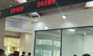 网友曝光政务大厅工作人员上班时间电脑打扑克，涉事中心回应