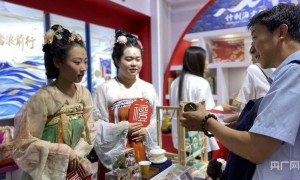 北京文旅博览会持续火热 西城展区带来互动新体验