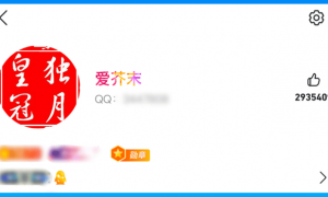 腾讯QQ出现全球首位256级用户，解锁新等级图标“时光企鹅”