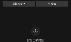 家中一年电费超40万元！千万粉丝网红大蓝的妻子晒豪宅引争议，已被禁言